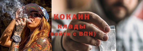 трава Верея