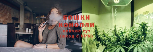 прущая мука Рославль