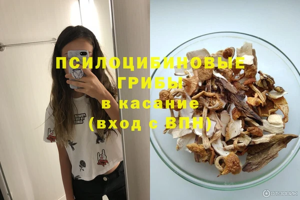 прущая мука Рославль